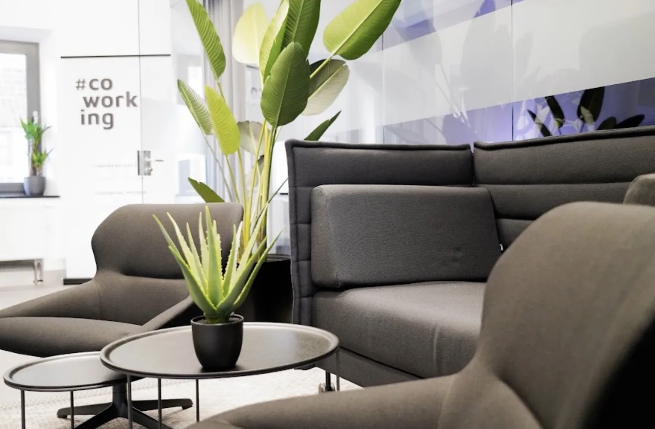 Loungebereich im c/oWERK mit Sesseln, Sofa und Pflanzen